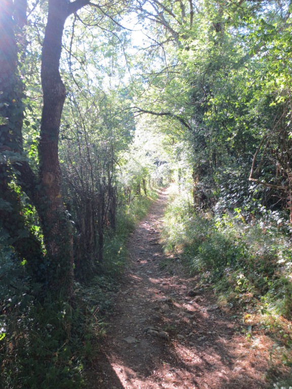 PRE FORMATION - DES SEANCES POUR INTEGRER DE NOUVEAUX ACCOMPAGNATEURS