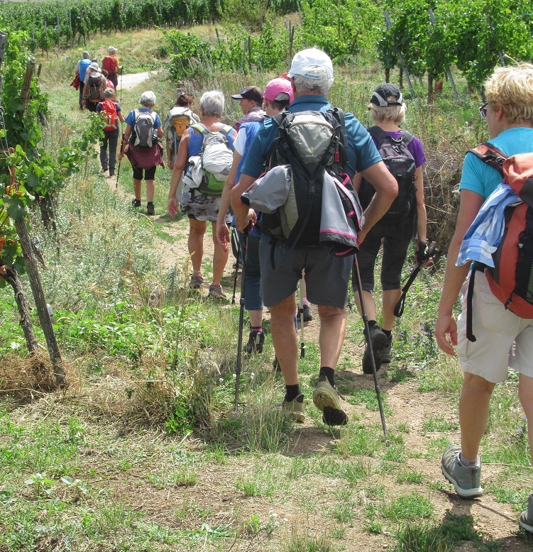 VOUS SOUHAITEZ RANDONNER, NOUVELLE SAISON Randonnée pédestre - Marche Nordique 2024 2025. on se prepare, on accueille de nouveaux marcheurs 