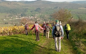 PROGRAMME PREVISIONNEL DES SORTIES DE RANDONNEE PEDESTRE POUR 2026