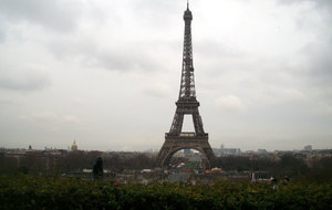 5a53cc8ce6258_paris1.jpg