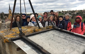 Le groupe de 16 Grisemottes en haut de la Tour de l'Horloge à Savigny