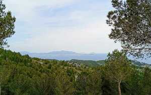 Au loin massif des Calanques de Marseille depuis les pinèdes de pins d'Alep