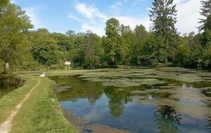 Parc du Château de Saint Fargeau