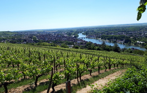 Vue de Joigny du Belvédère