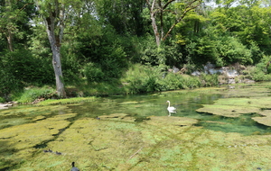 Parc des sources à Druyes les Belles fontaines