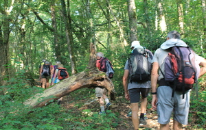 VENDREDI RANDO JANVIER 2025 - POLLIONNAY