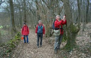 BALISAGE CIRCUITS RANDONNEE PRINTANIERE DU 16 MARS 2025 - APPEL AUX BONNES VOLONTES