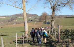 VENDREDI RANDO FEVRIER 2025 - POLLIONNAY