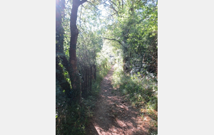 REUNION MENSUELLE JUIN 2025