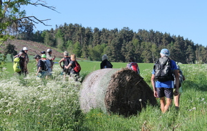 VENDREDI RANDO SEPTEMBRE 2025 - EN APRES MIDI - EVEUX