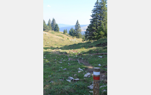 COMMISSION TRACAGE - CREATION CIRCUITS RANDONNEE MARS 2026 - 1ère REUNION 