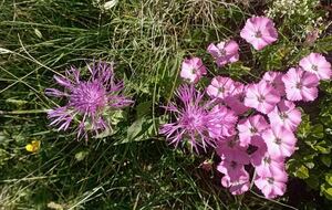 REUNION MENSUELLE OCTOBRE 2025