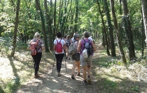 VENDREDI RANDO DOUCE NOVEMBRE 2025 - CHESSY LES MINES
