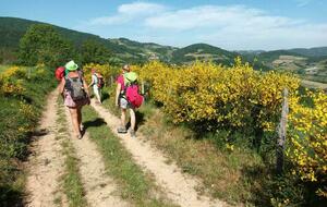 VENDREDI RANDO NOVEMBRE 2025 - LIERGUES