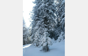 BALADE DE NOEL A SAIN BEL - DIMANCHE 21 DECEMBRE 2025