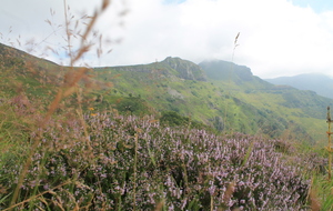 REUNION MENSUELLE NOVEMBRE 2025