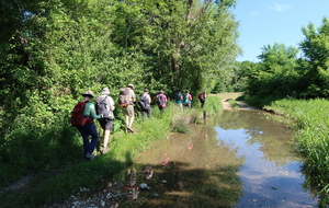 RENCONTRE RANDONNEE PATRIMOINE AVRIL 2026 - STE EULALIE