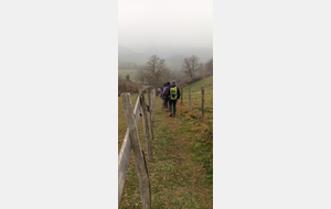 DIMANCHE RANDO FEVRIER 2026 - ST SYMPHORIEN DE LAY