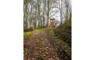 Sur un chemin forestier la dernière œuvre des Murmures du Temps à Savigny : le Verger des maturités