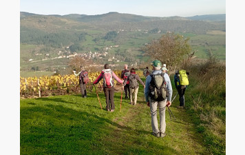 PROGRAMME PREVISIONNEL DES SORTIES DE RANDONNEE PEDESTRE POUR 2026