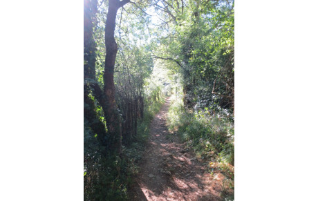 PRE FORMATION - DES SEANCES POUR INTEGRER DE NOUVEAUX ACCOMPAGNATEURS