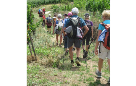 NOUVELLE SAISON 2025 2026, c'est la rentrée, VENEZ RANDONNER avec les Grisemottes, club de Randonnée pédestre et de Marche Nordique. On se prepare, on accueille de nouveaux marcheurs 