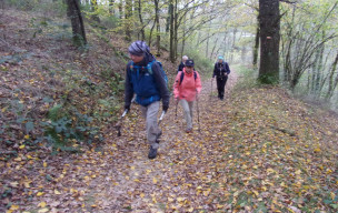 Dimanche rando à Balbigny le 9 novembre 2025