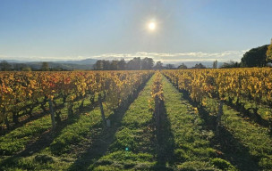 VENDREDI RANDO DOUCE NOVEMBRE 2025 - CHESSY LES MINES