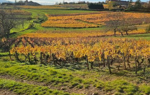 VENDREDI RANDO DOUCE NOVEMBRE 2025 - CHESSY LES MINES