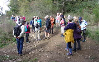 Vendredi rando St Verand 11 octobre 2024