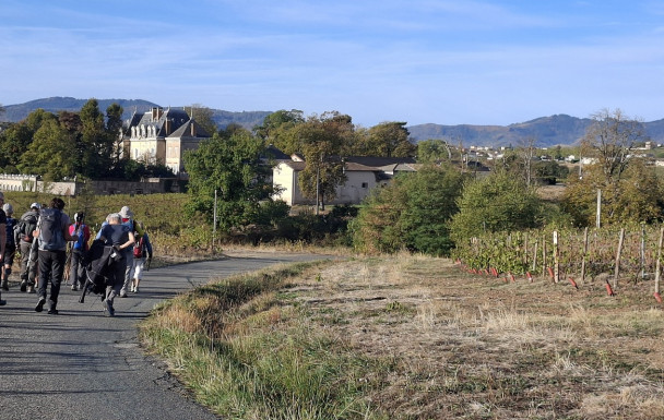 Dimanche rando CHARENTAY - 11 octobre 2026