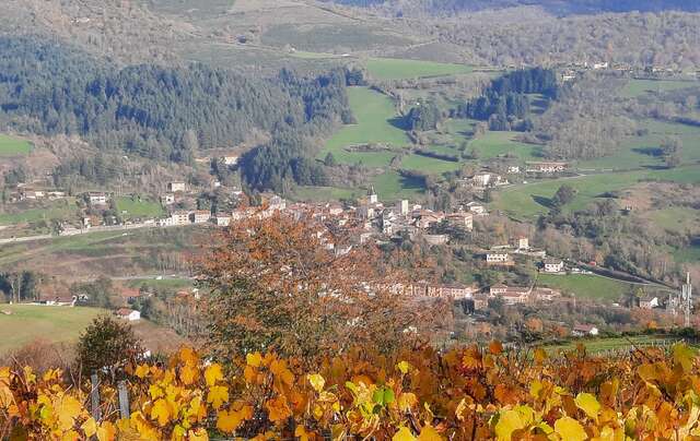 Dimanche rando Chamelet 10 novembre 2024